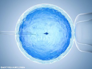 周主任